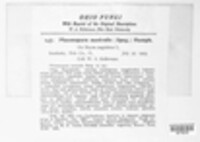 Image Associated With the Occurence